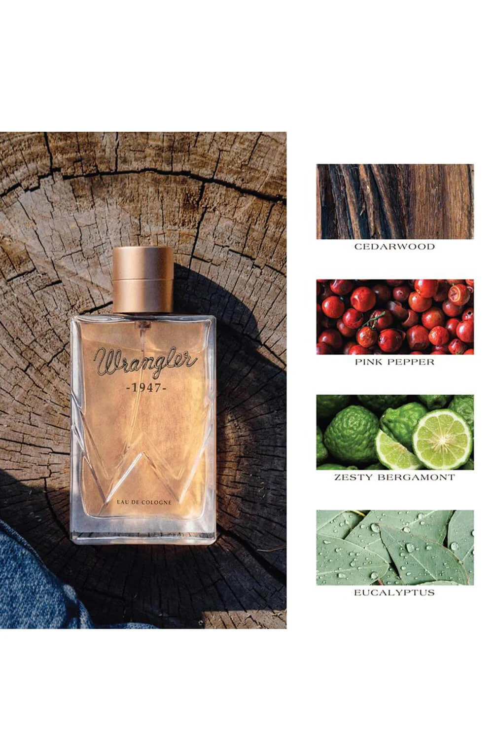 Tru Fragrance 1947 Wrangler Cologne for Men | 97168 - Image 3