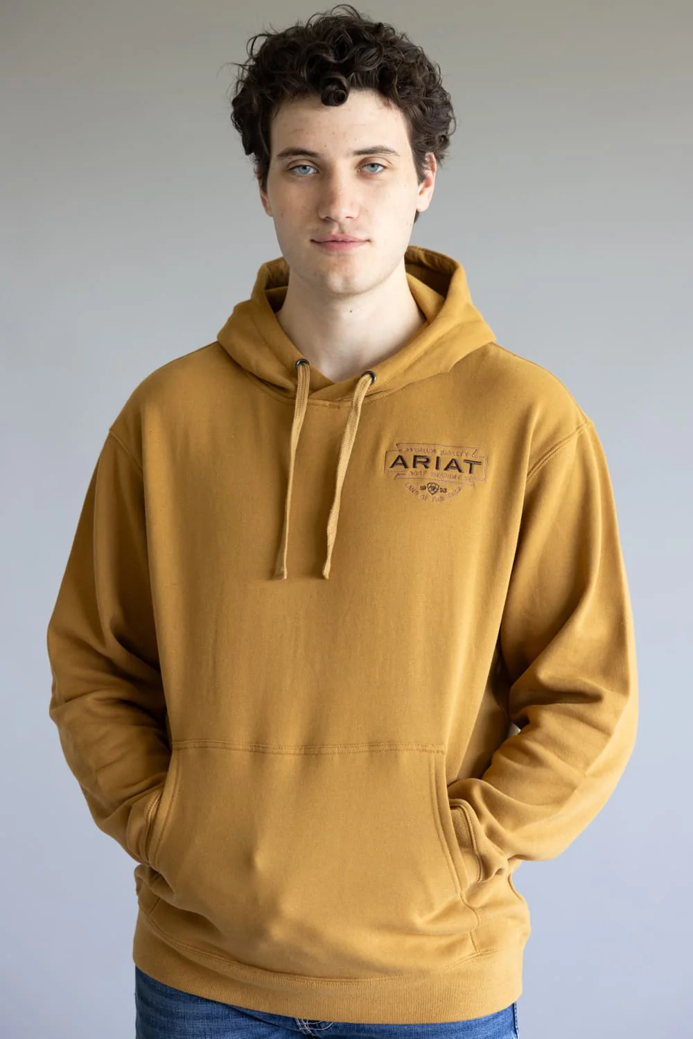 Ariat Embroidered Southwest Buckle Hoodie for Men in Brown | 10062495-BONEBROWN - Image 2