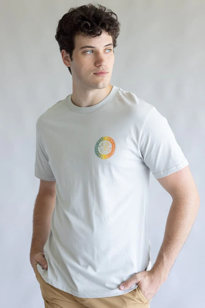 Billabong Rockies Adiv T-Shirt for Men in Grey | 24A503500-SIL - Image 4