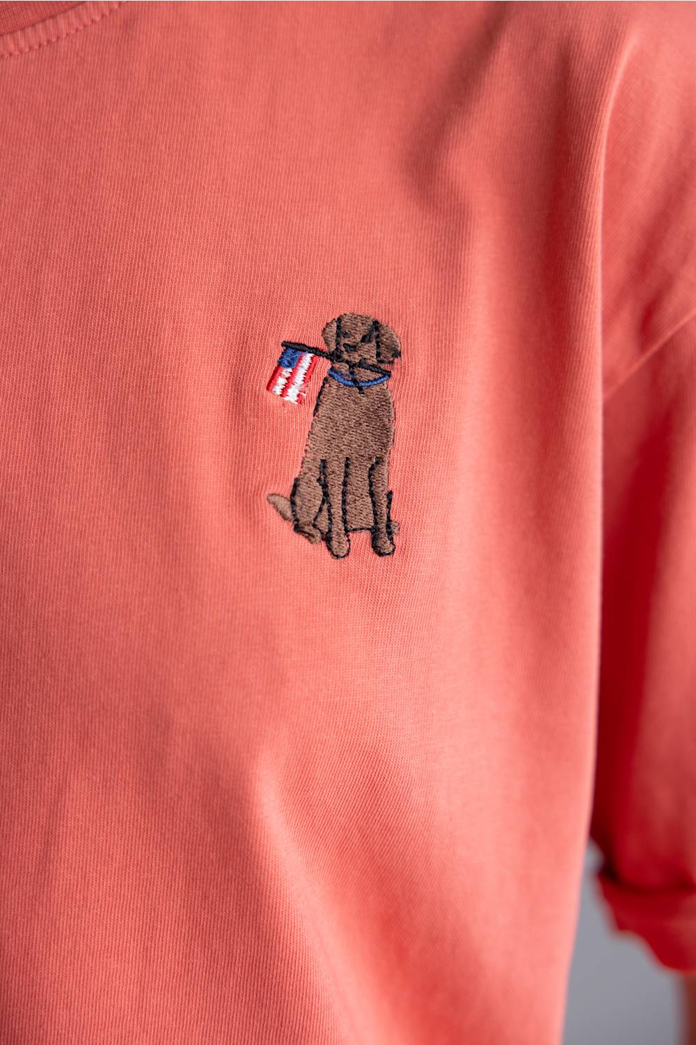 C&C California Melissa Embroidered Flag Dog T-Shirt for Women in Cranberry | 89A03008-CRAN - Image 2