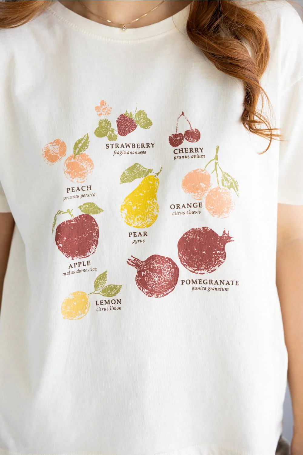 C&C California Toni Fruits Boxy Crew Tee for Women in Antique White | 89A02892-ANTWHITE - Image 3
