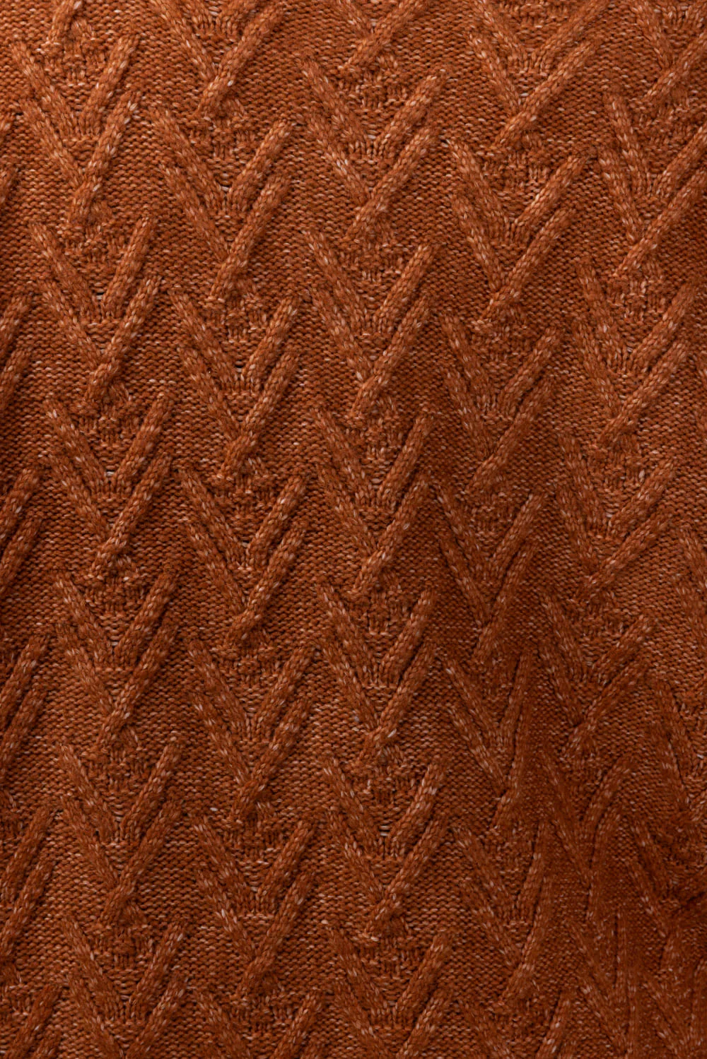 Cable Knit Button Front Cardigan for Women in Cinnamon Stick | LF2S43482-CIN - Image 3