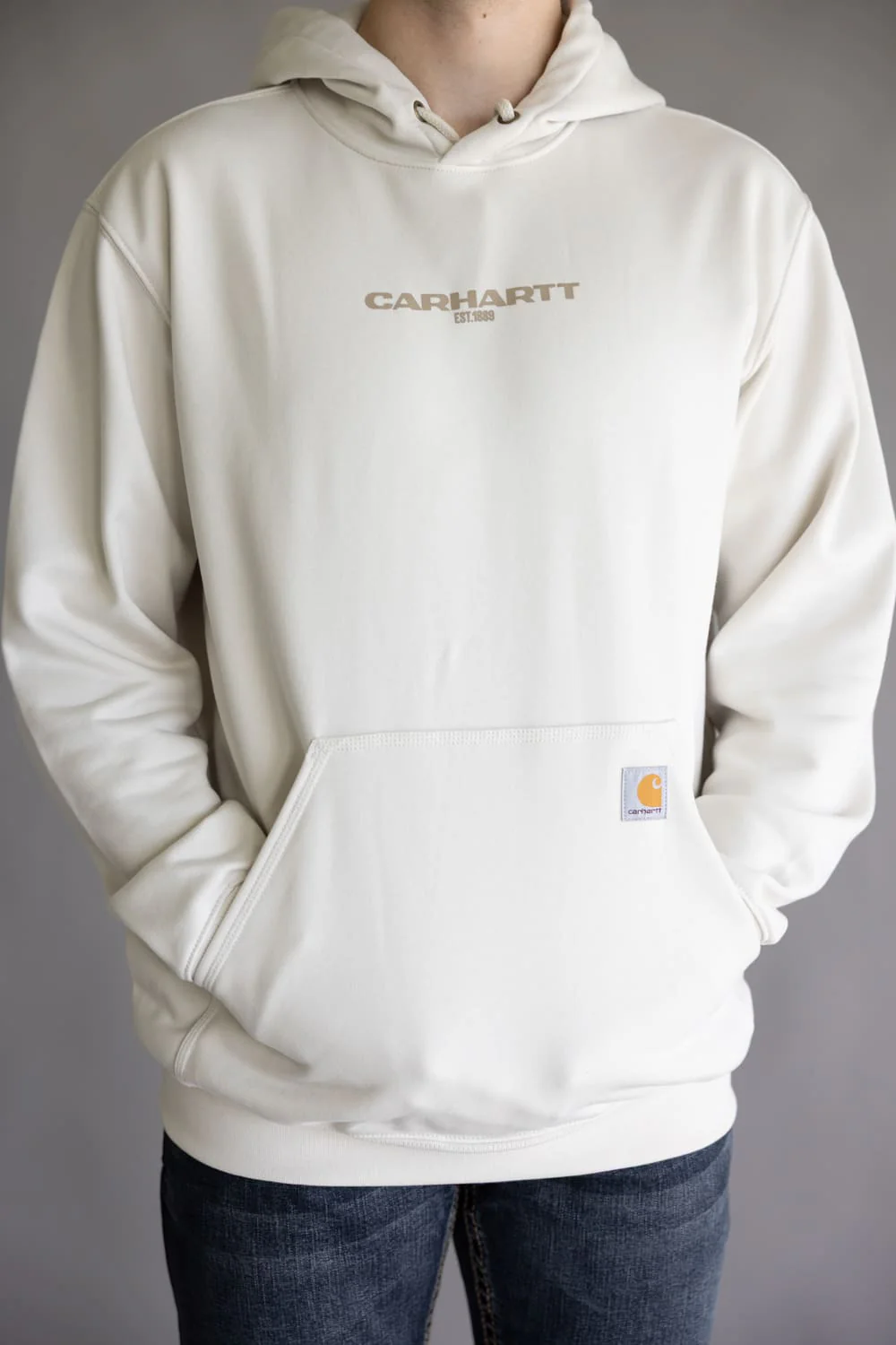 Carhartt 1889 Rain Defender Loose Fit Midweight Logo Graphic Hoodie for Men in Malt | 107031-W03 IVORY - Image 3