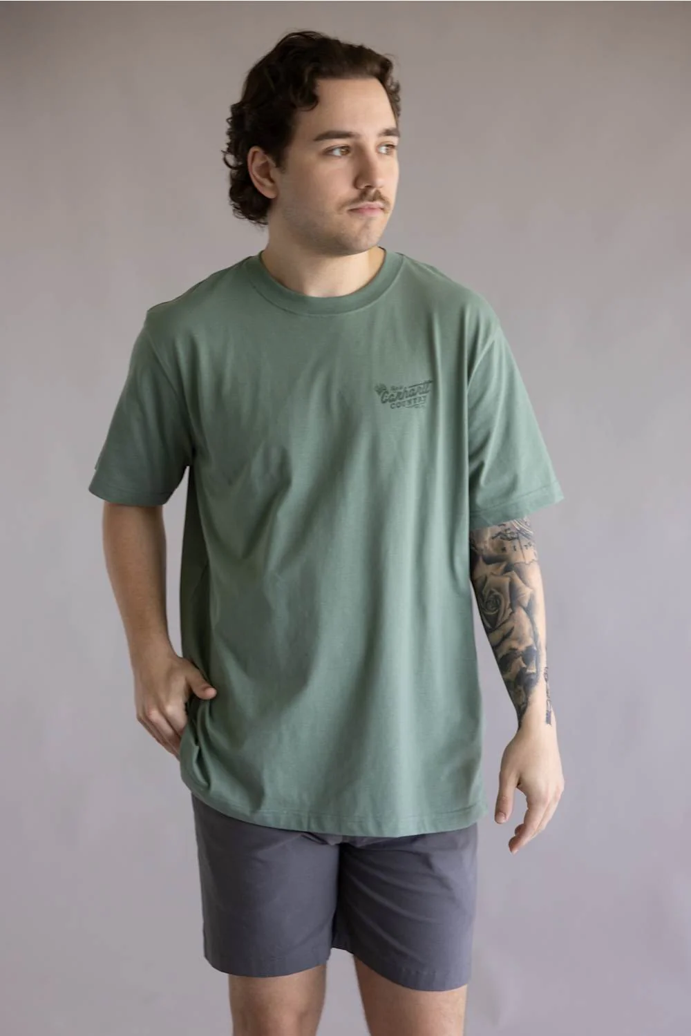 Carhartt Irvine Relaxed Country T-Shirt for Men in Green Slate | 107291-GN7-GREENSLATE - Image 3
