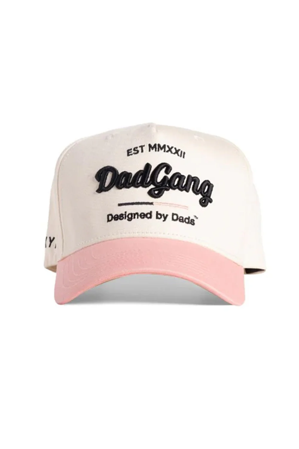 Dad Gang Horsepower Hat for Men - Image 2