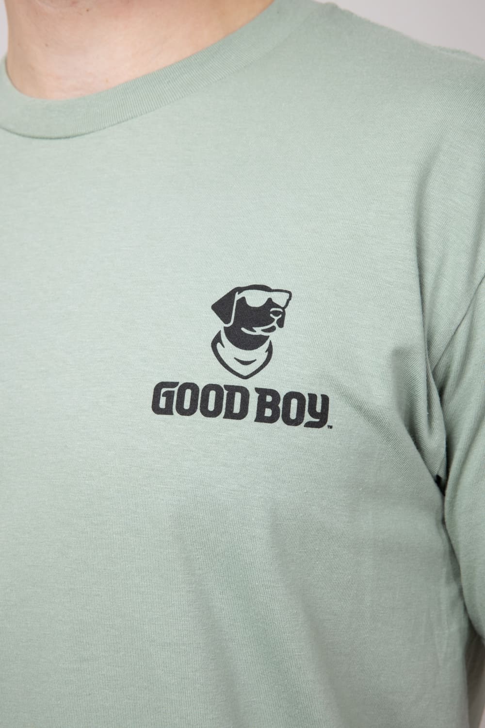 Good Boy Fetch Dog T-Shirt for Men in Sage | 2211-SAGE - Image 4