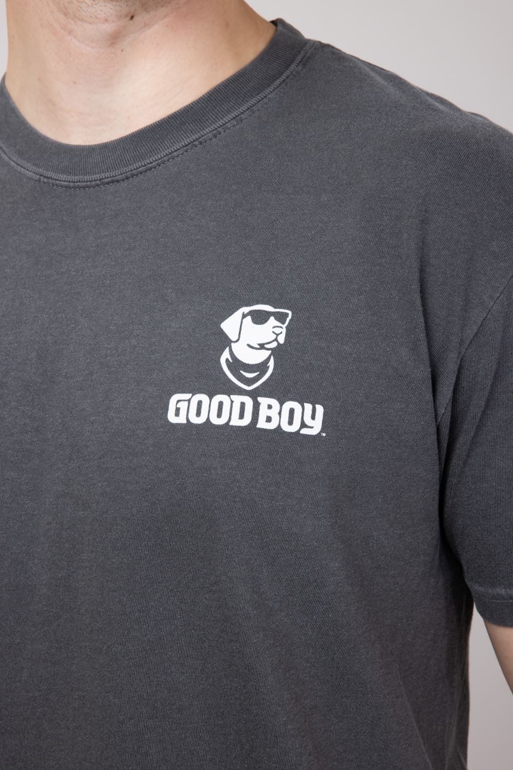 Hunt Club Dog T-Shirt for Men in Pepper | 2207-PEPPER - Image 3