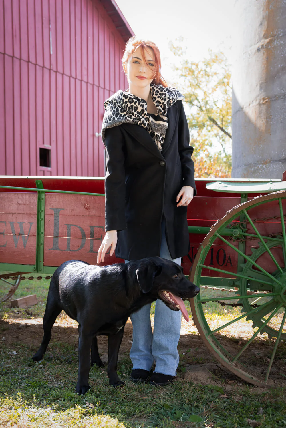 Leopard Print Scarf for Women in Black | BCL520148-BLK - Image 4