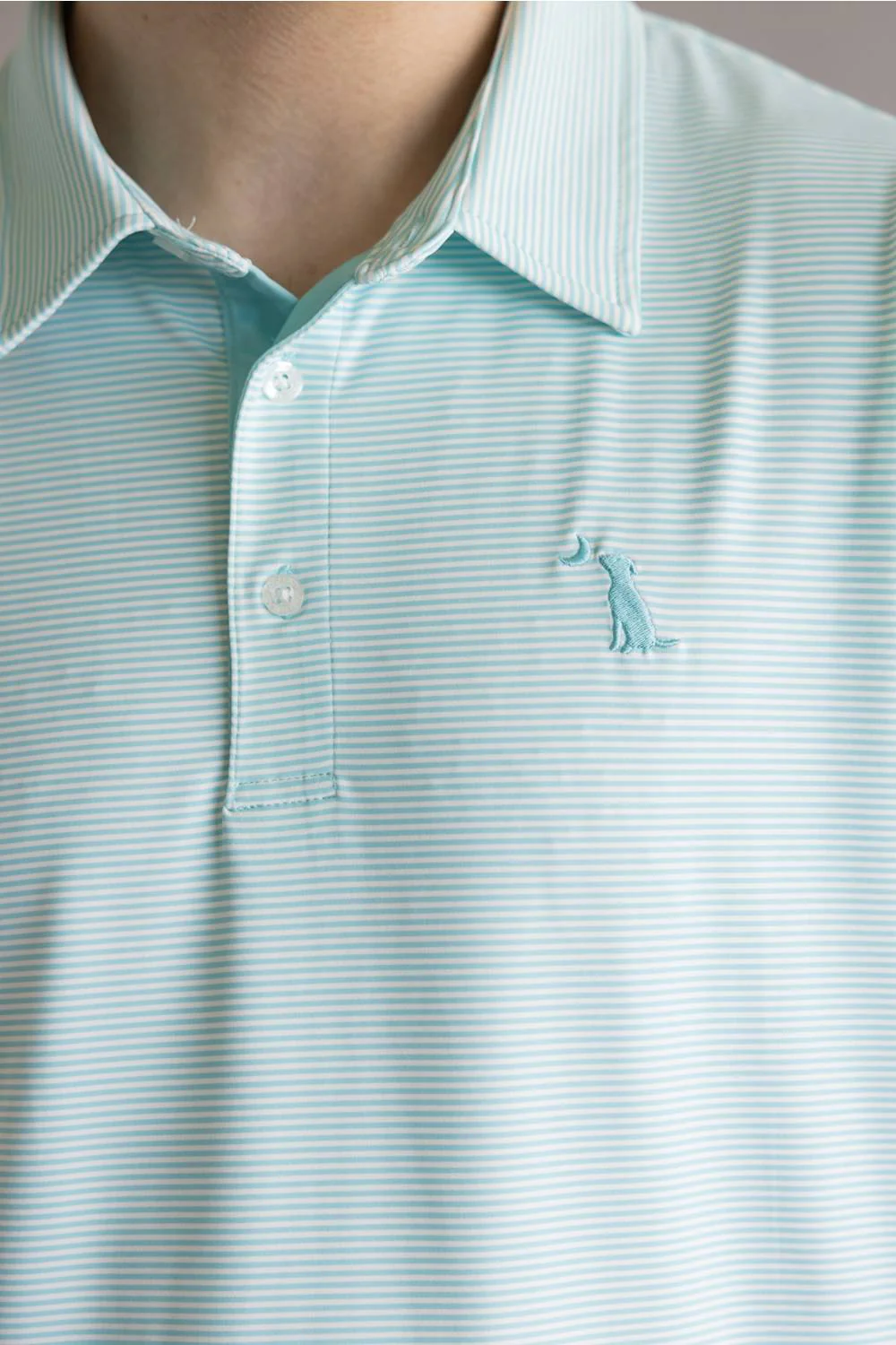 Local Boy Palms Polo for Men in Aqua/White | L1200021-AQW AQUA WHITE - Image 2