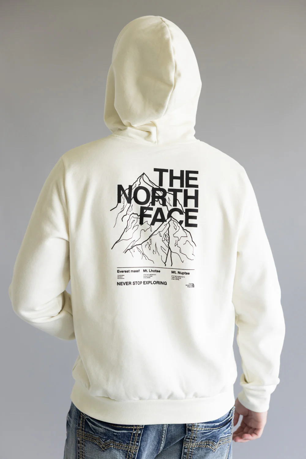 The North Face Evolution Half Dome Hoodie for Men in White Dune | NF0A8FNF-QLI - Image 5
