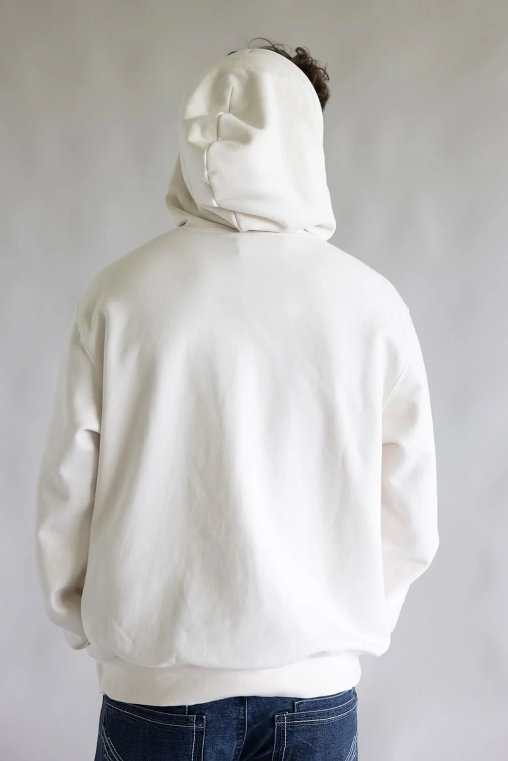 The North Face Evolution Embroidered Logo Hoodie for Men in Dune | NF0A8CW7-QLI - Image 2