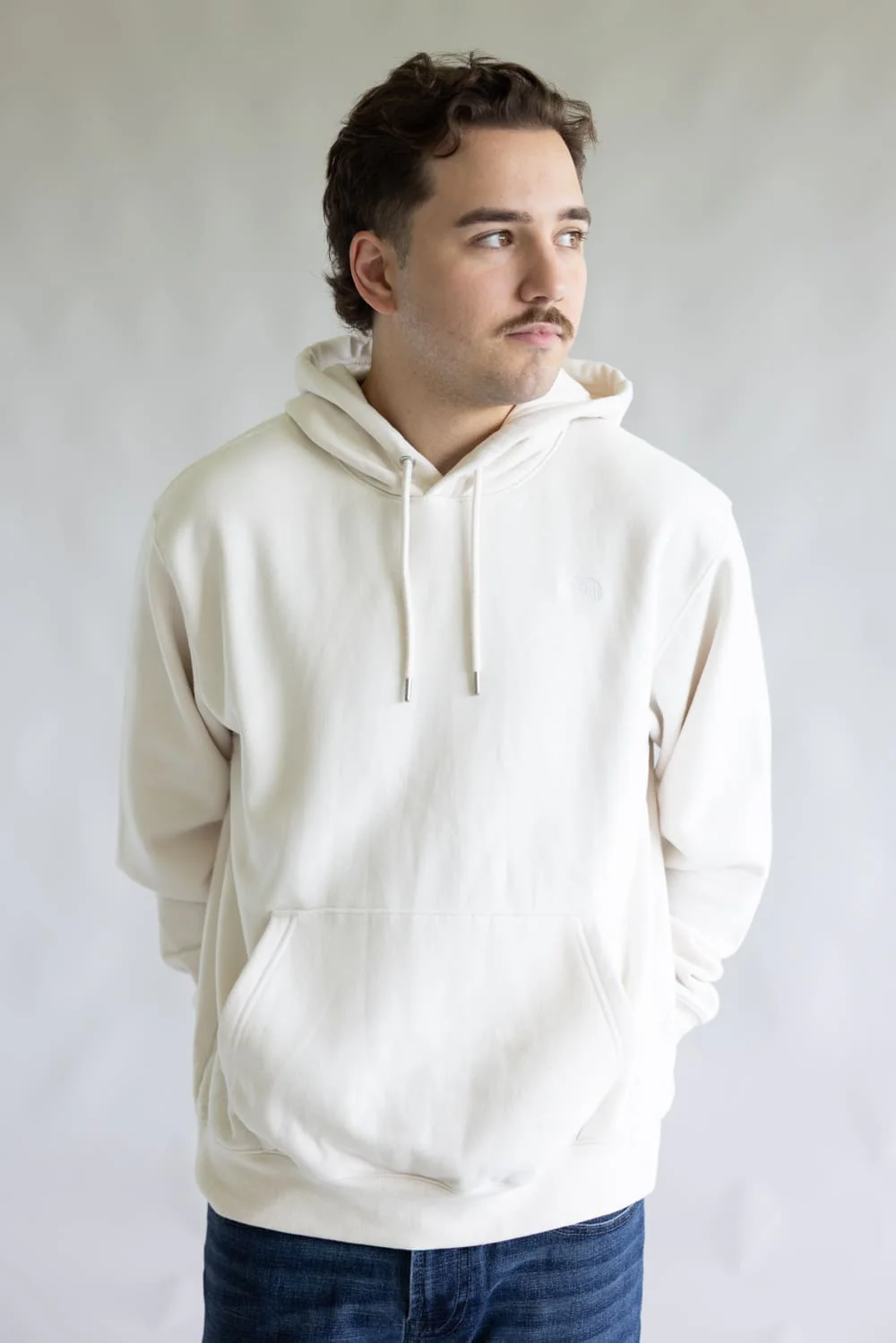 The North Face Evolution Embroidered Logo Hoodie for Men in Dune | NF0A8CW7-QLI - Image 4