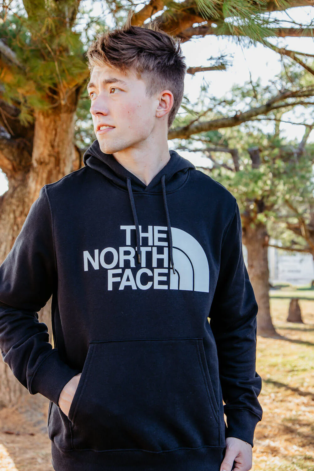 The North Face Half Dome Hoodie for Men - Image 2