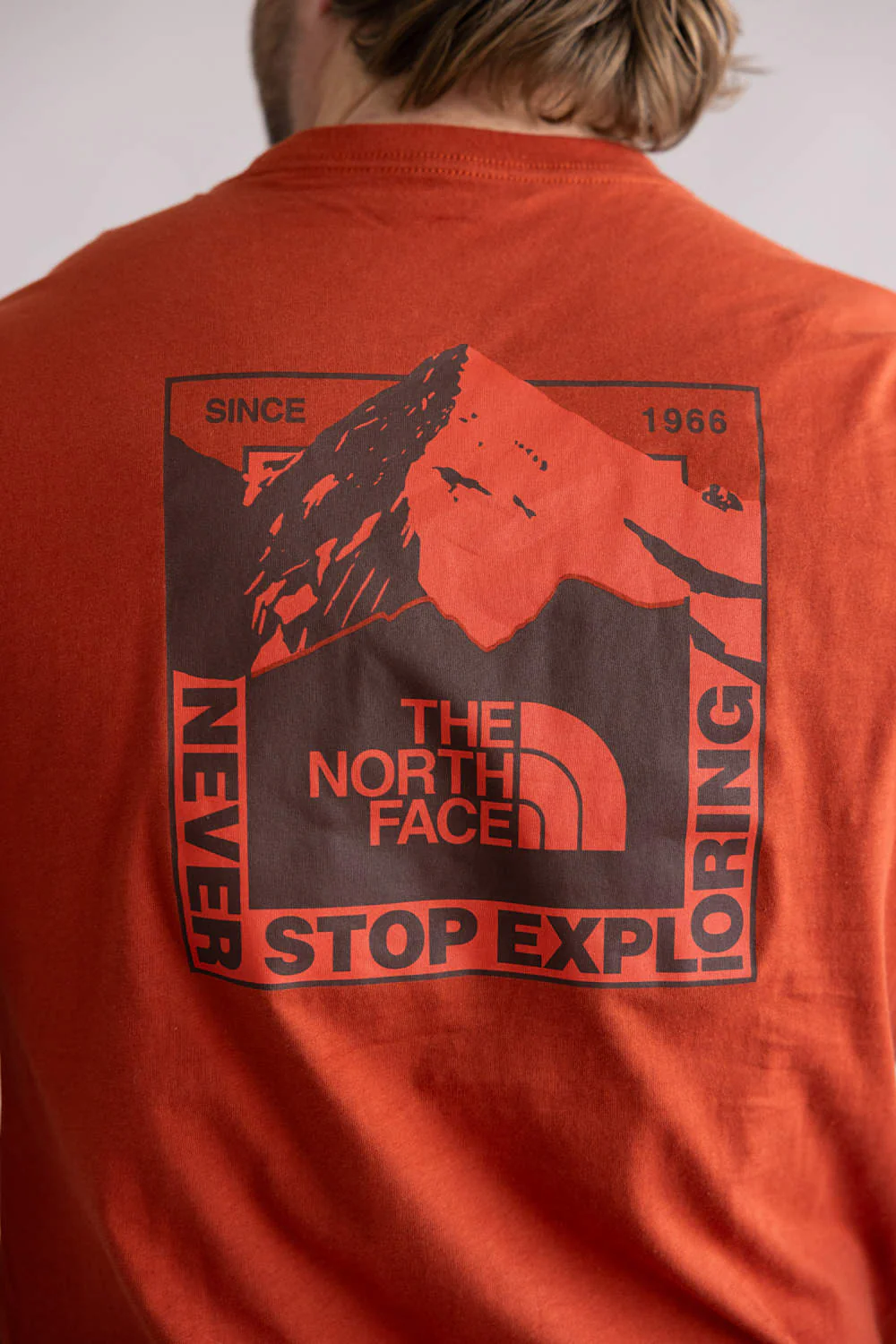 The North Face Mountain Scape Tee for Men in Iron Clay | NF0A8GMF-G6I CLAY - Image 3