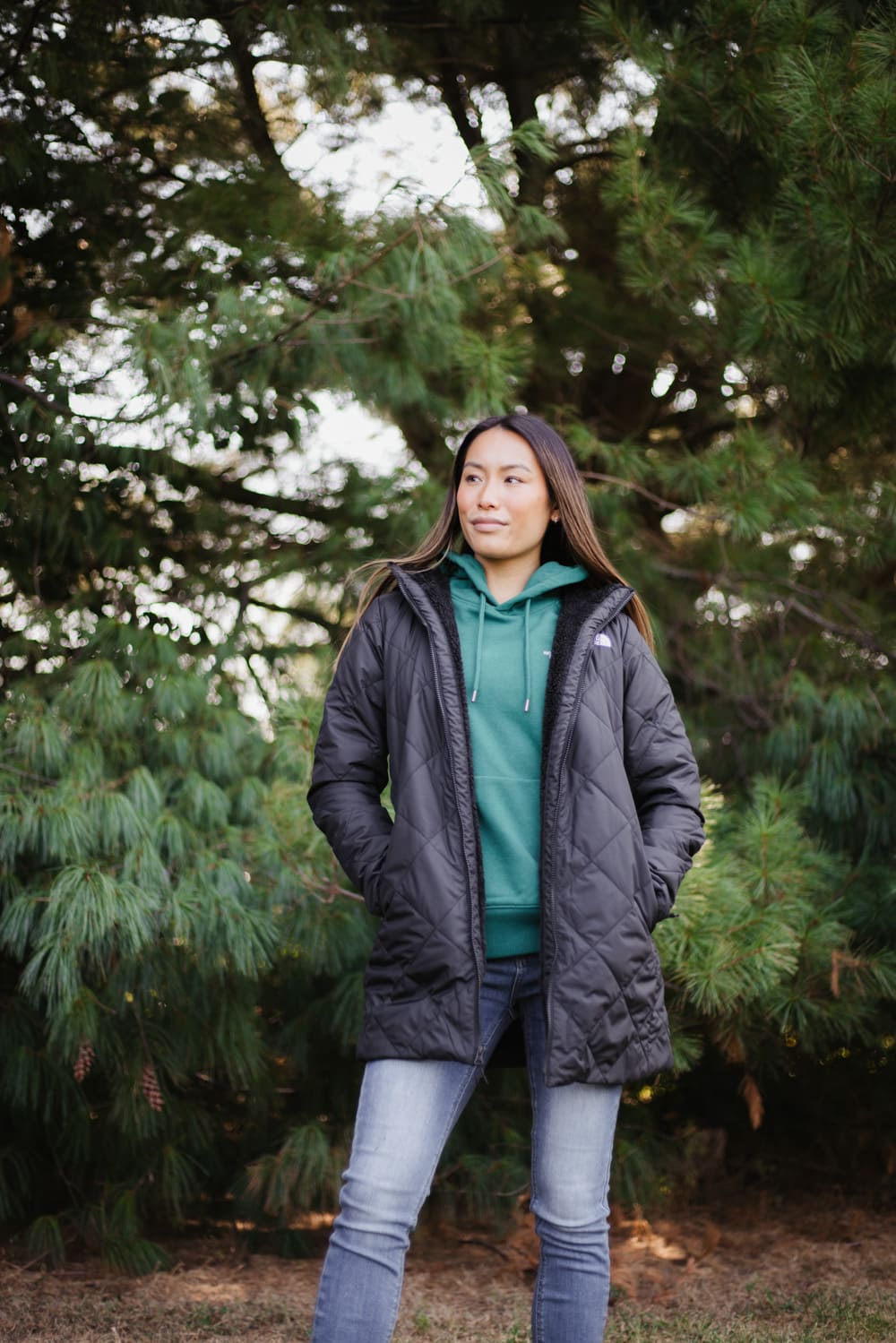 The North Face Shady Glade Parka for Women in Black | NF0A84JA-4H0 - Image 6