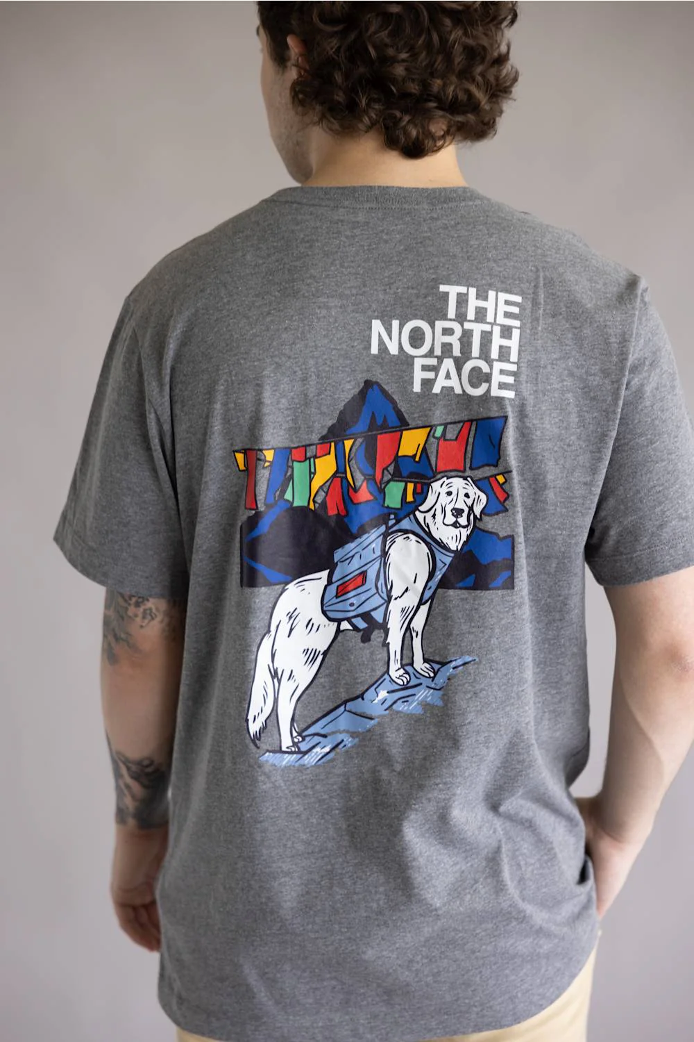 The North Face Sunlit Summit Tee for Men in Gray | NF0A8GS8-CQI GRAY - Image 3
